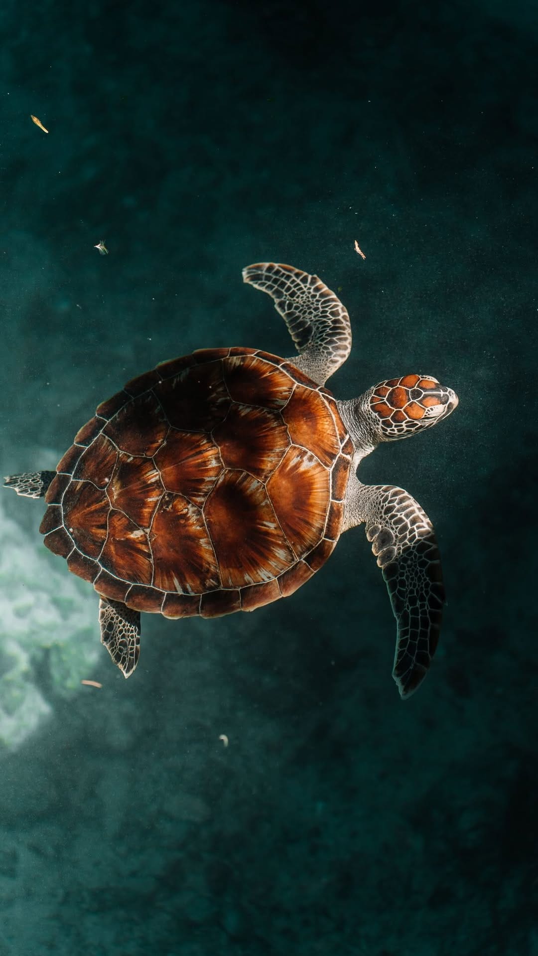 Post 3 by Steffi | Travel Creator & Photographer on Instagram (video)