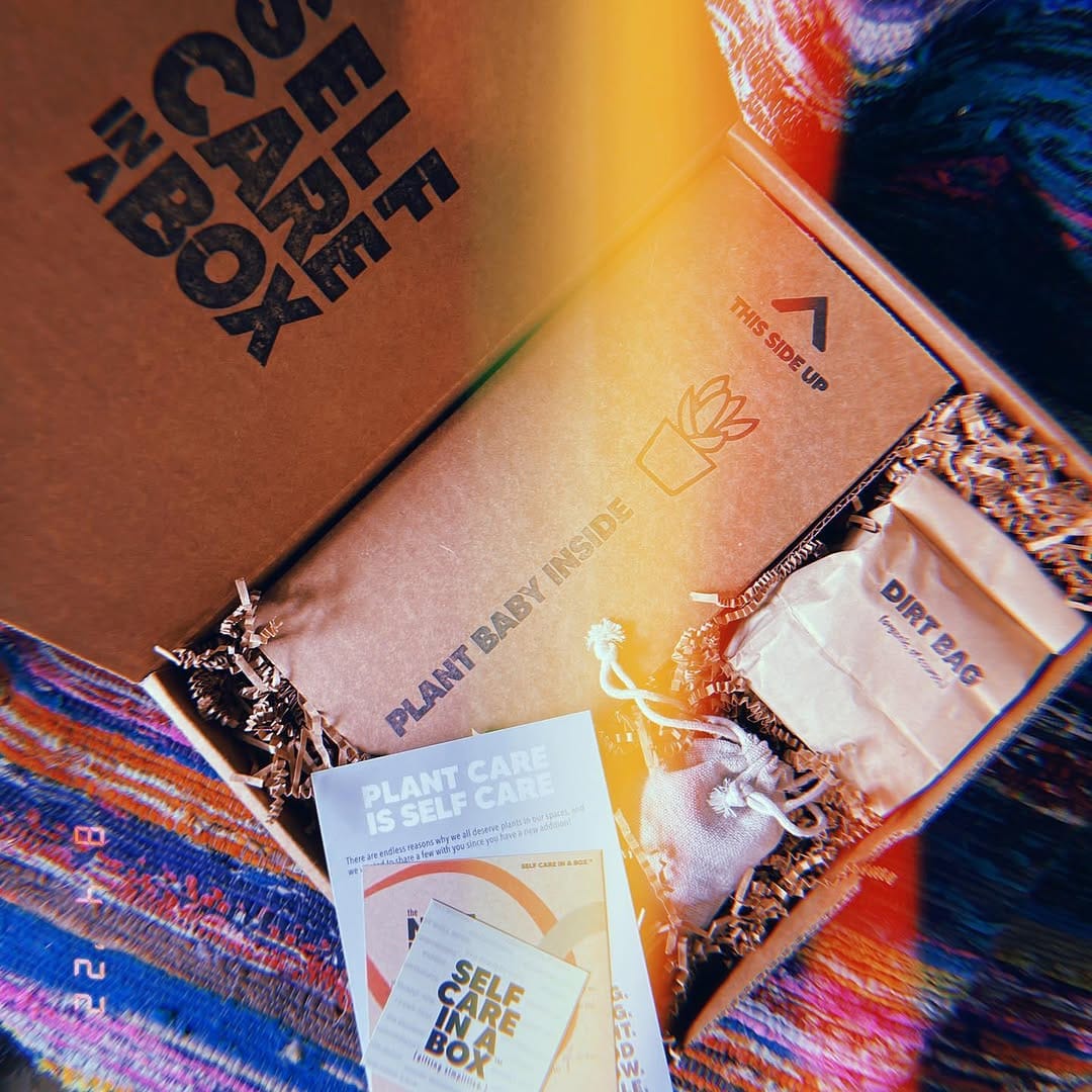 Post 2 by The Nice Plant on Instagram (image)