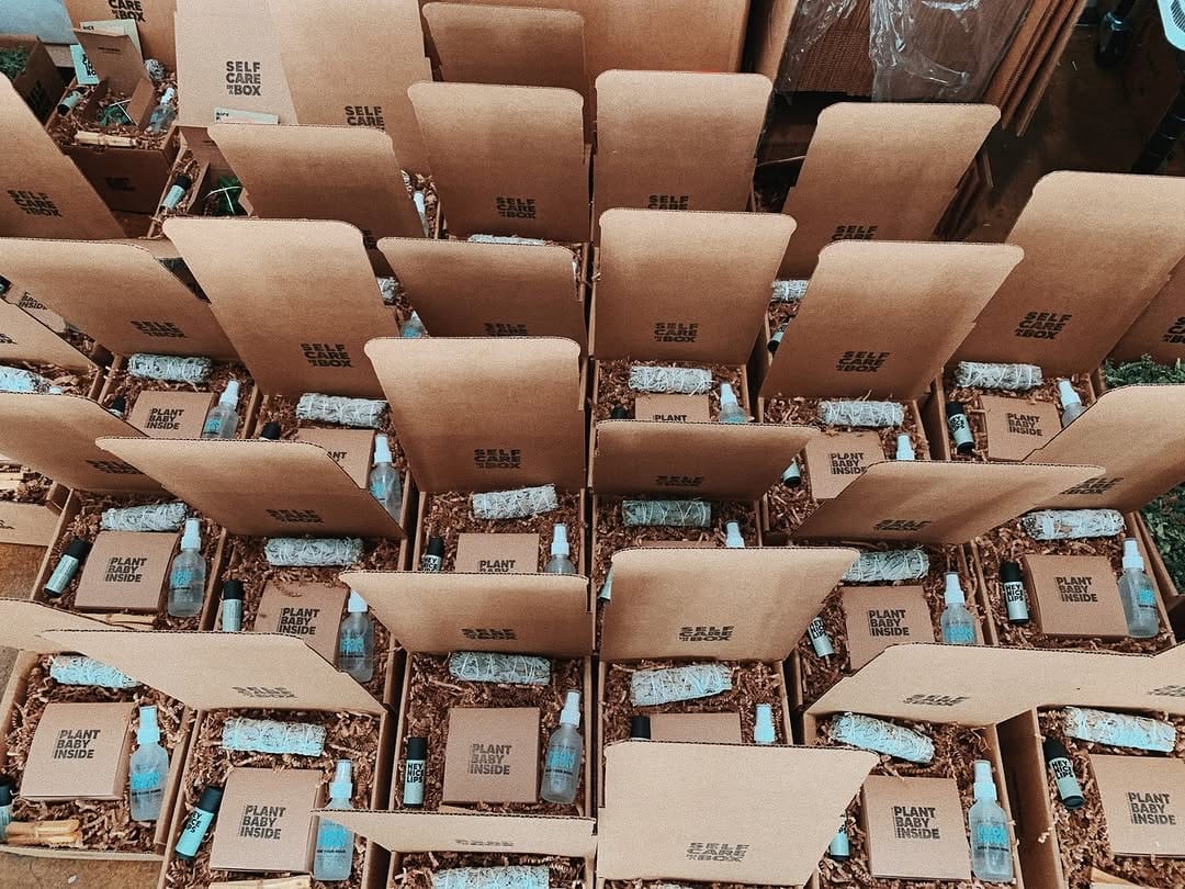 Post 8 by The Nice Plant on Instagram (image)