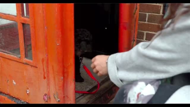 Post 6 by Feral Productions on Instagram (video)