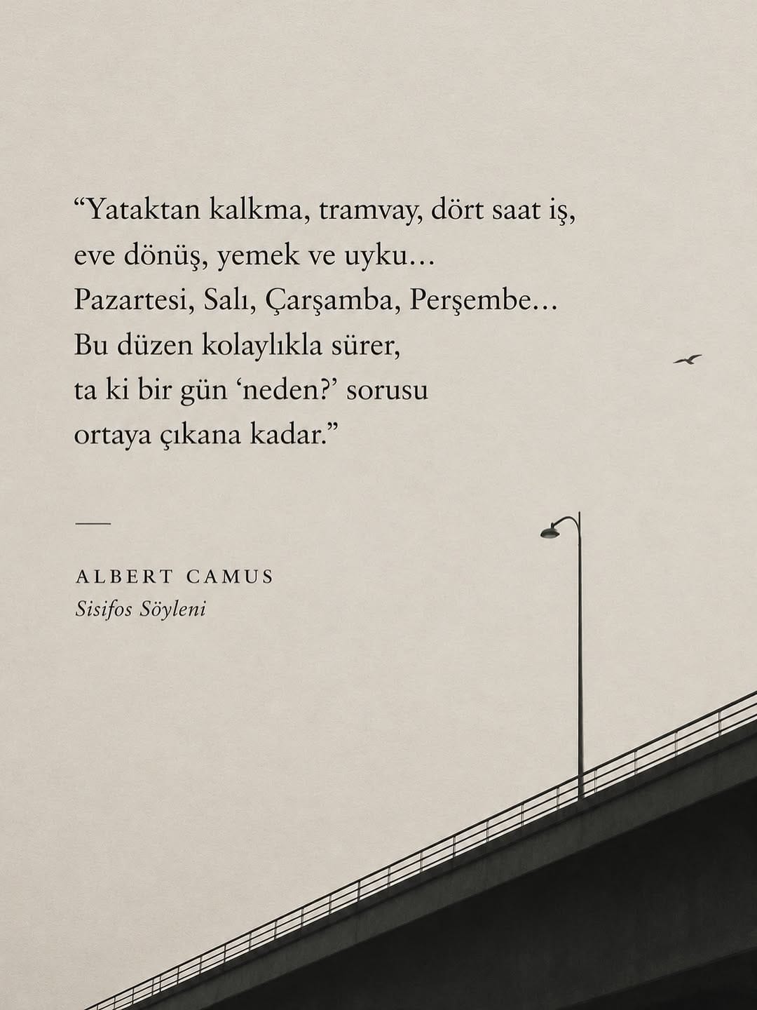 Post 7 by B. Ceren YILMAZ on Instagram (image)