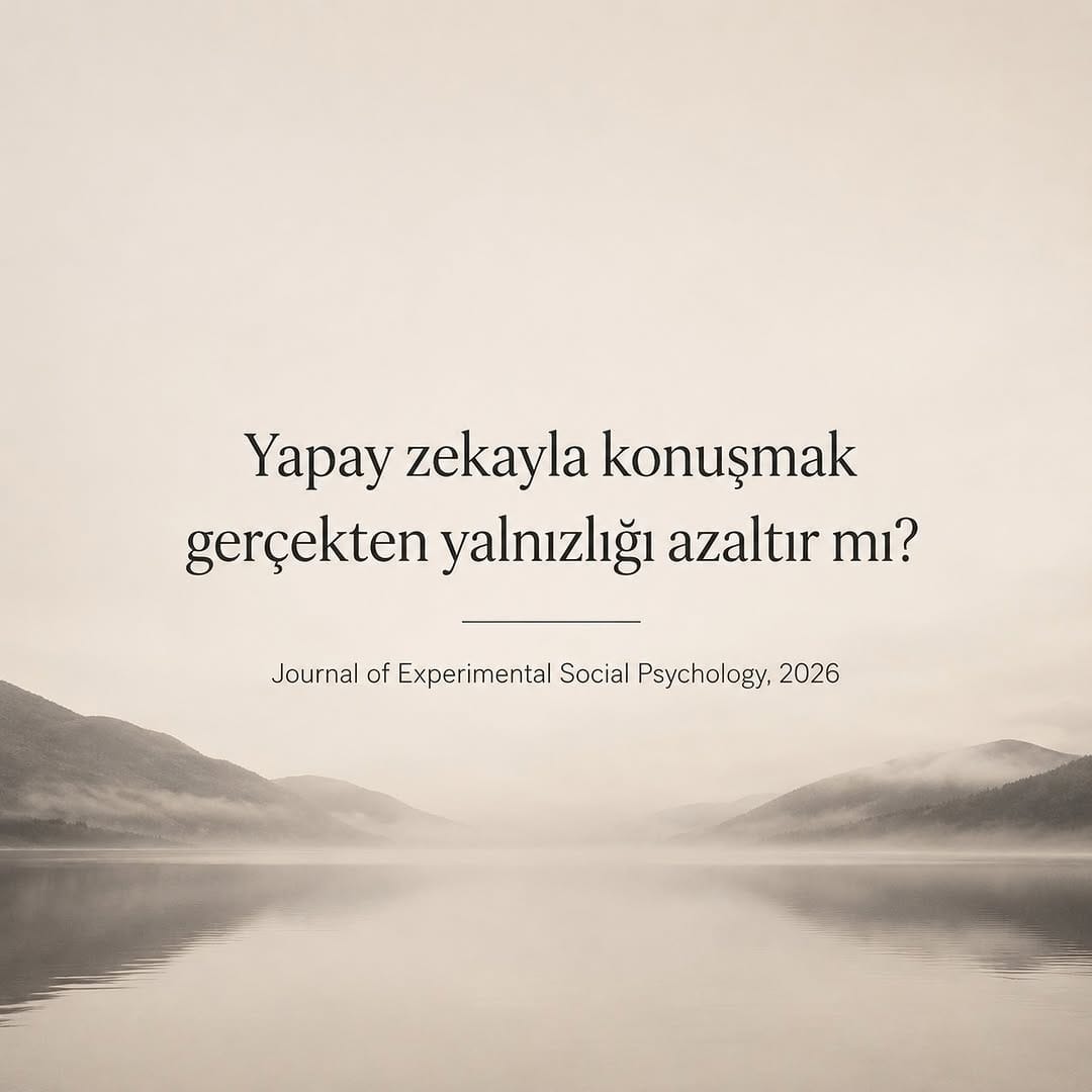 Post 2 by B. Ceren YILMAZ on Instagram (image)