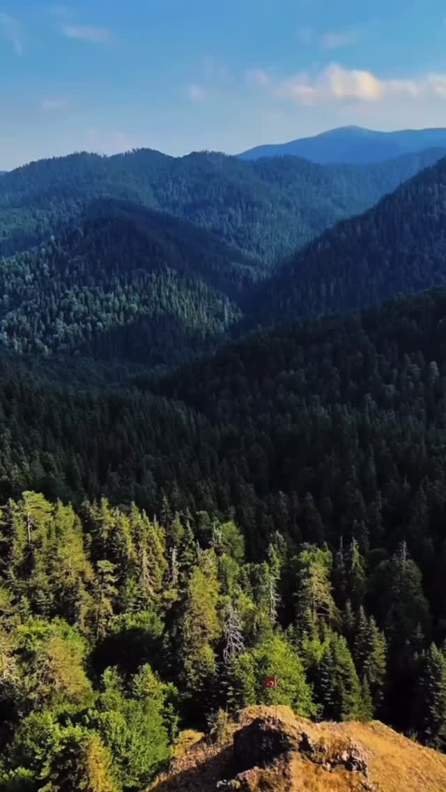 Post 1 by Diyetisyen Esra GENÇAY CIRIK on Instagram (video)