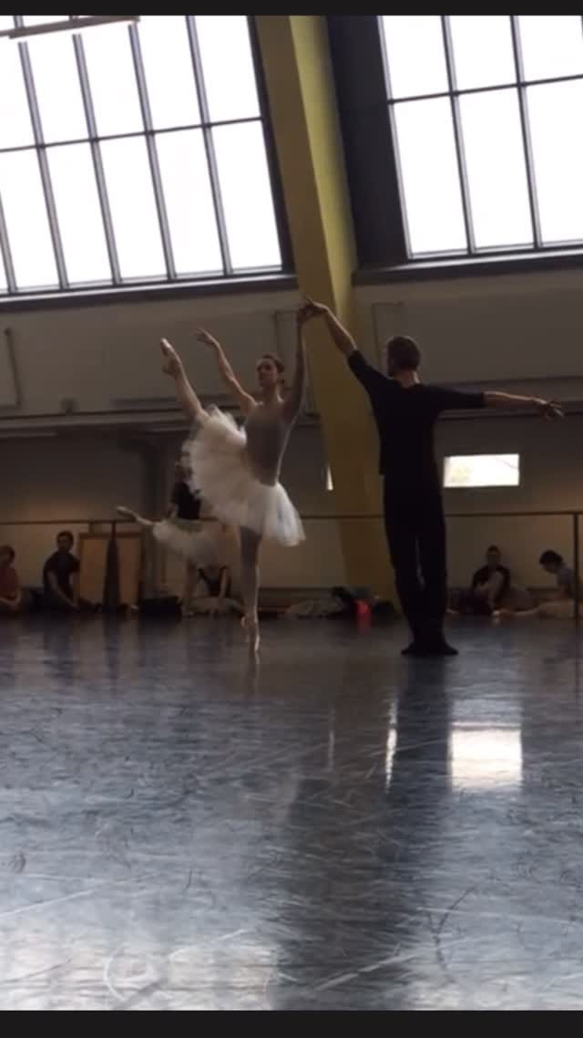 Post 2 by Aurora Dickie on Instagram (video)