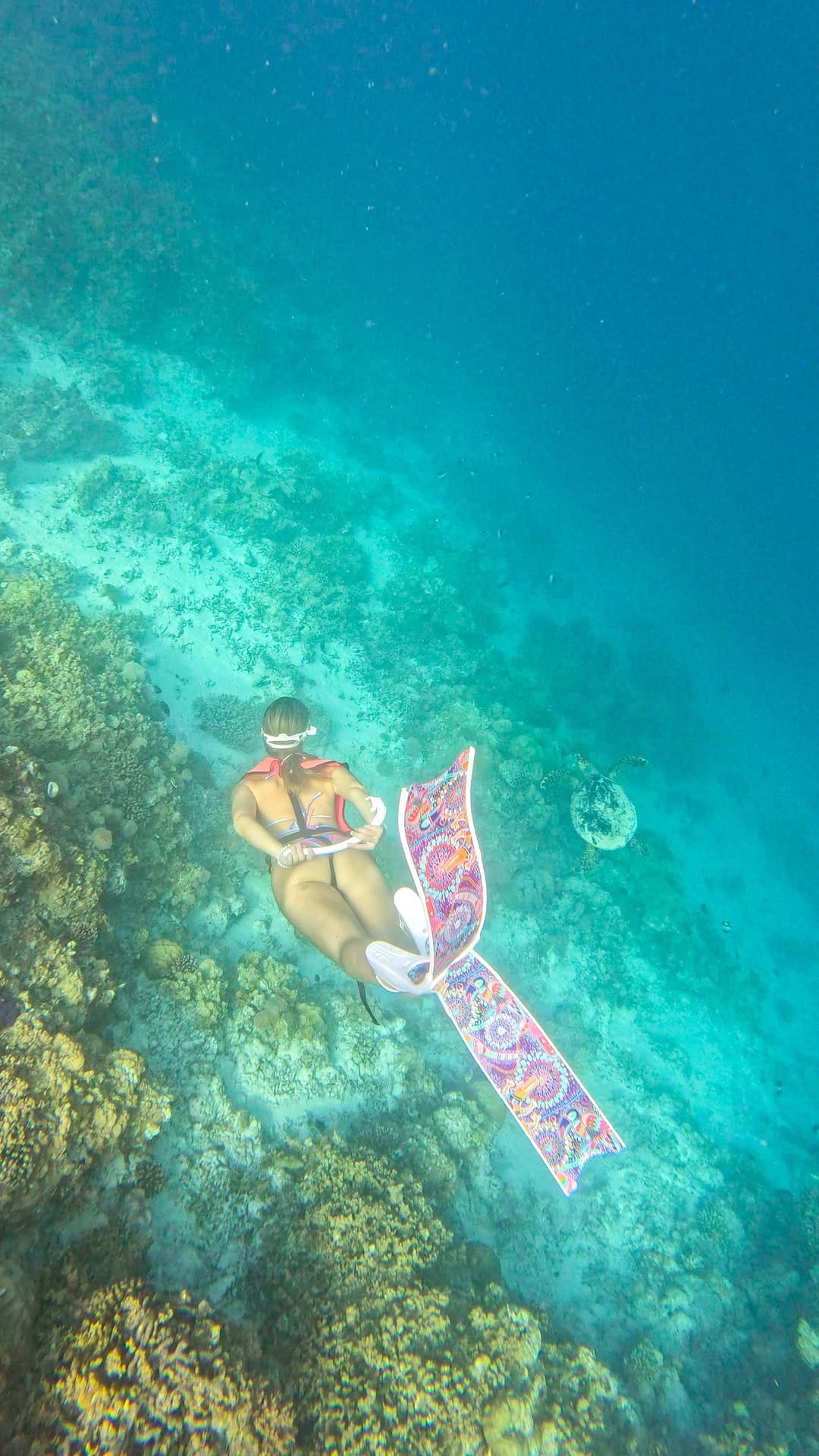 Post 8 by Janina Ballali on Instagram (video)