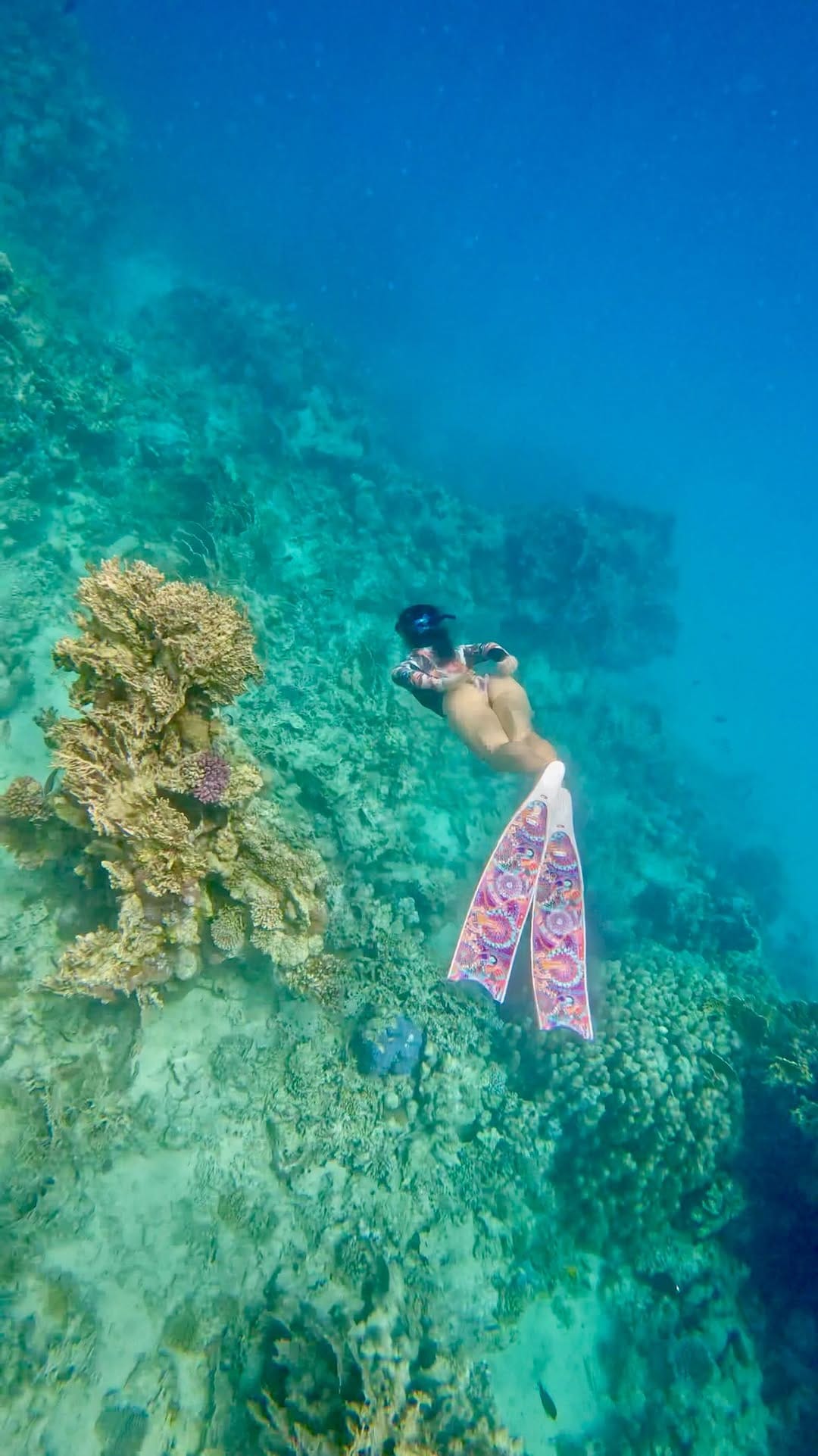 Post 1 by Janina Ballali on Instagram (video)