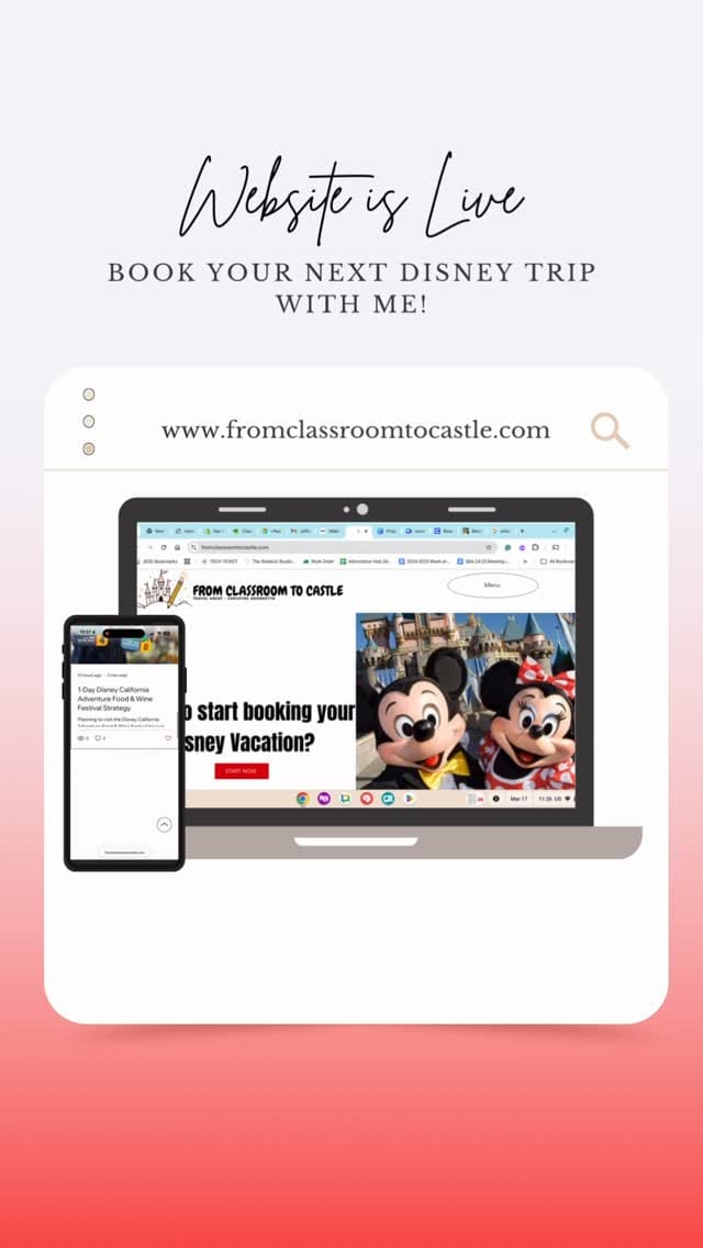 Post 2 by Tine- Teacher, fan of Disney, Charcuterie and Sourdough! on Instagram (video)