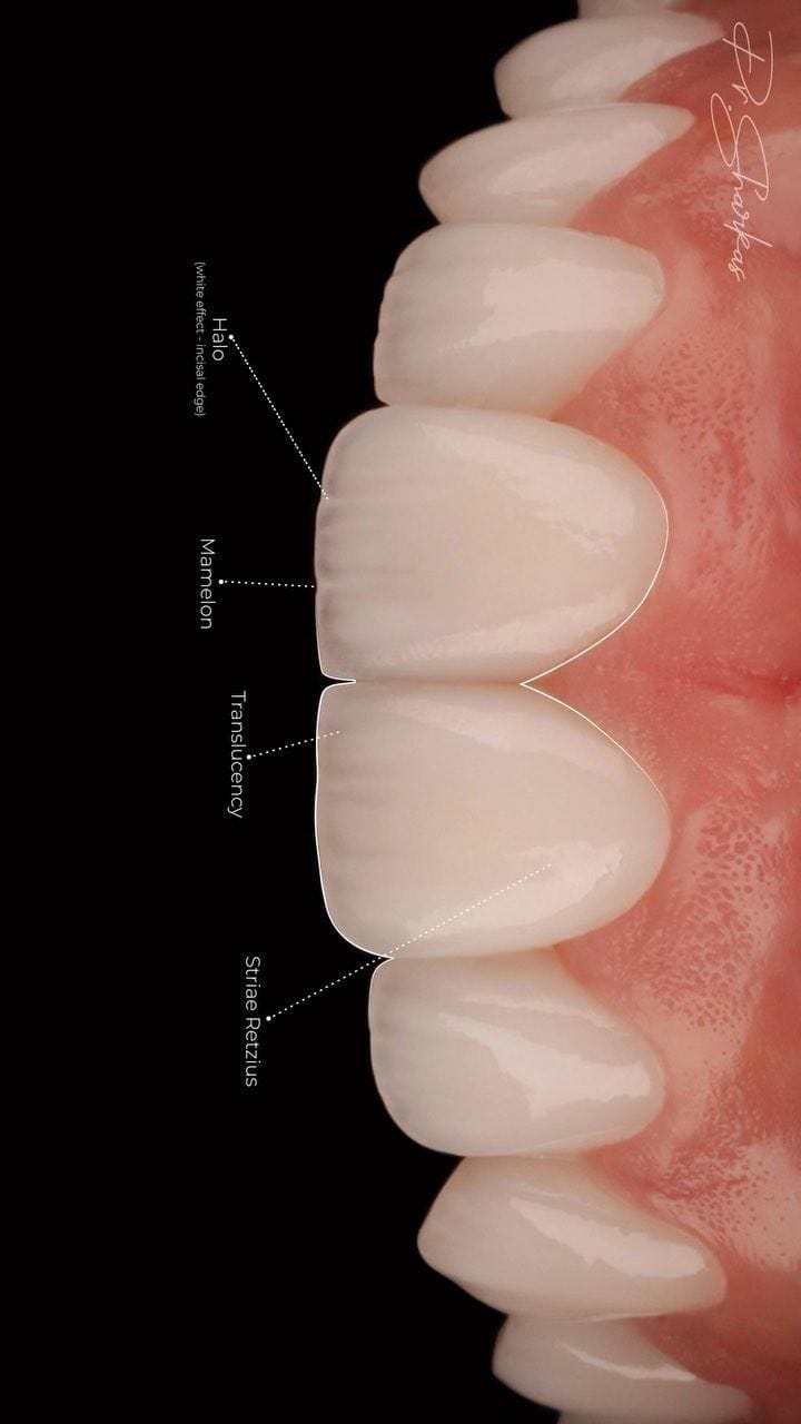 Post 10 by Dr. Mohamed Sharkas on Instagram (video)