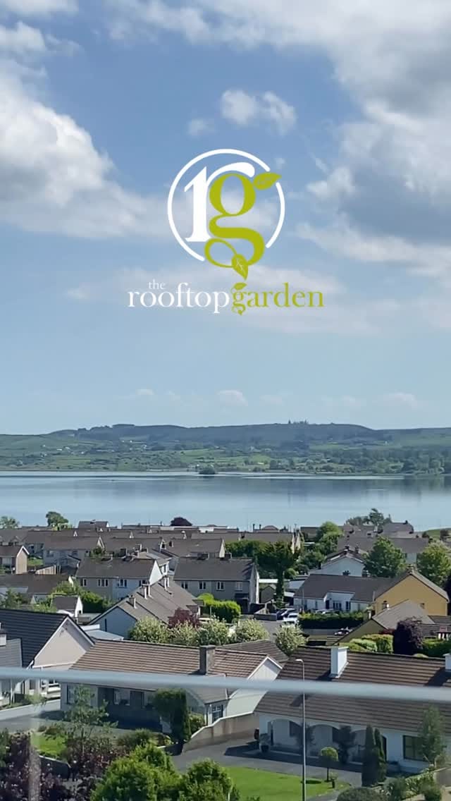 Post 2 by Lough Rea Hotel & Spa on Instagram (video)
