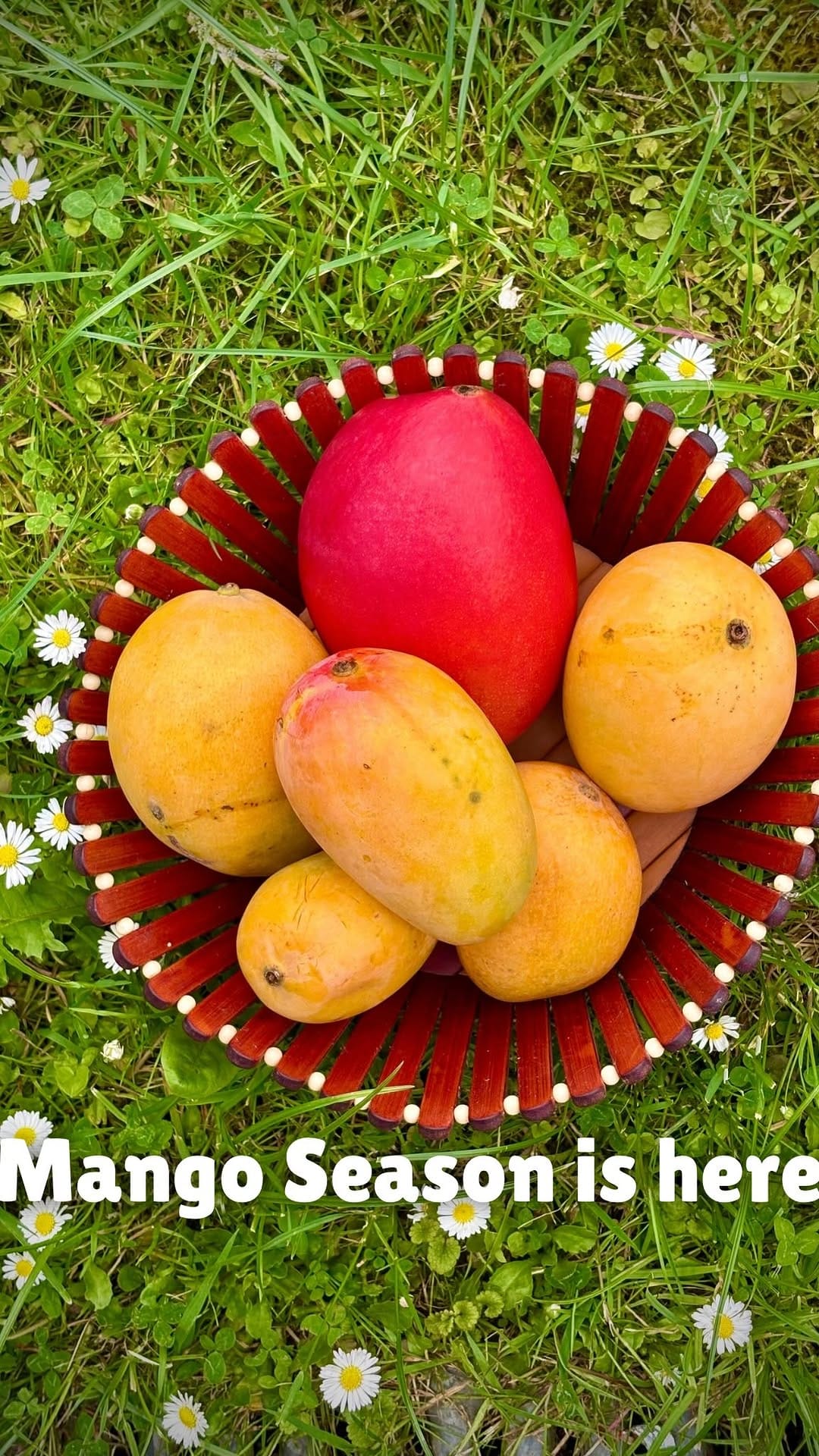 Post 4 by Mizna Khan | Family-Friendly Food on Instagram (video)
