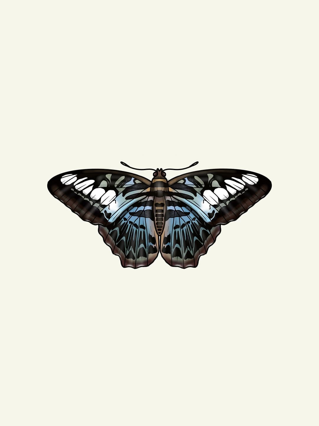 Post 6 by T A N S Y   M O O R E on Instagram (image)