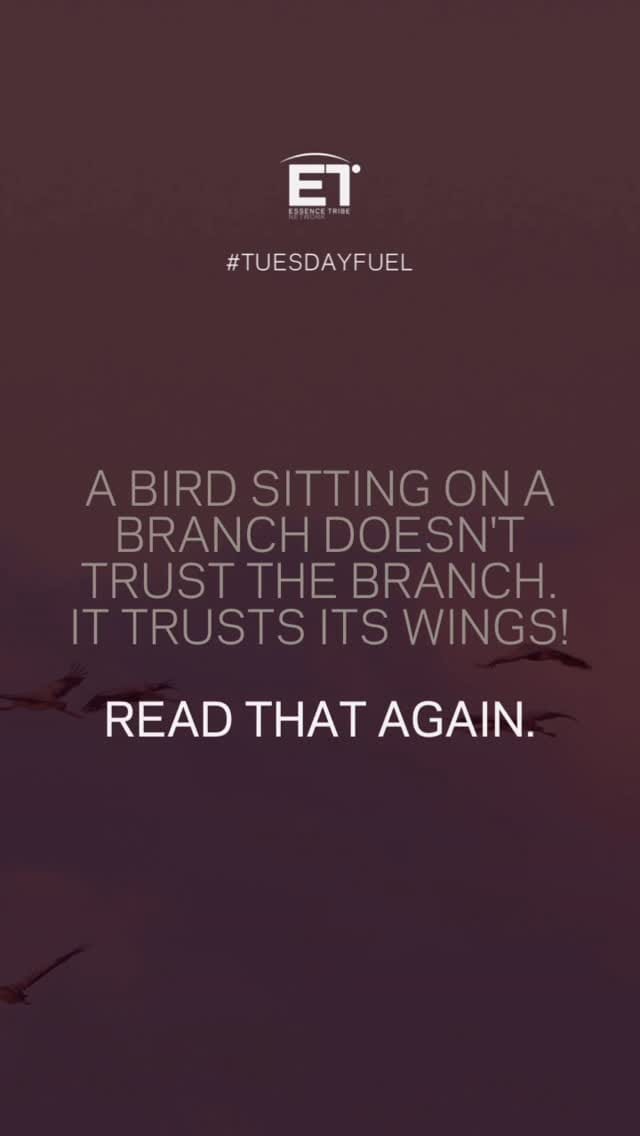Post 6 by Essence Tribe - Network Marketing Community on Instagram (video)