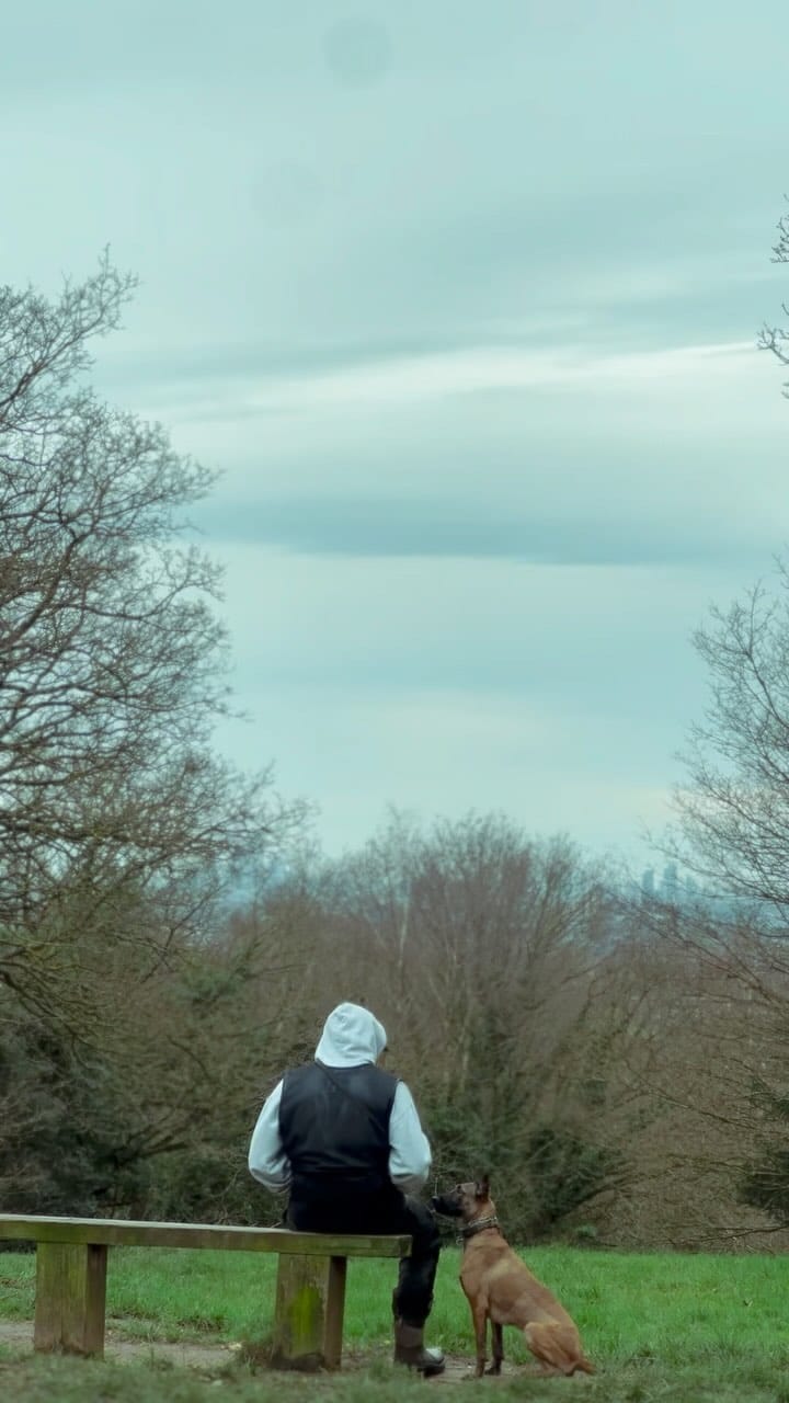 Post 6 by rosssands on Instagram (video)