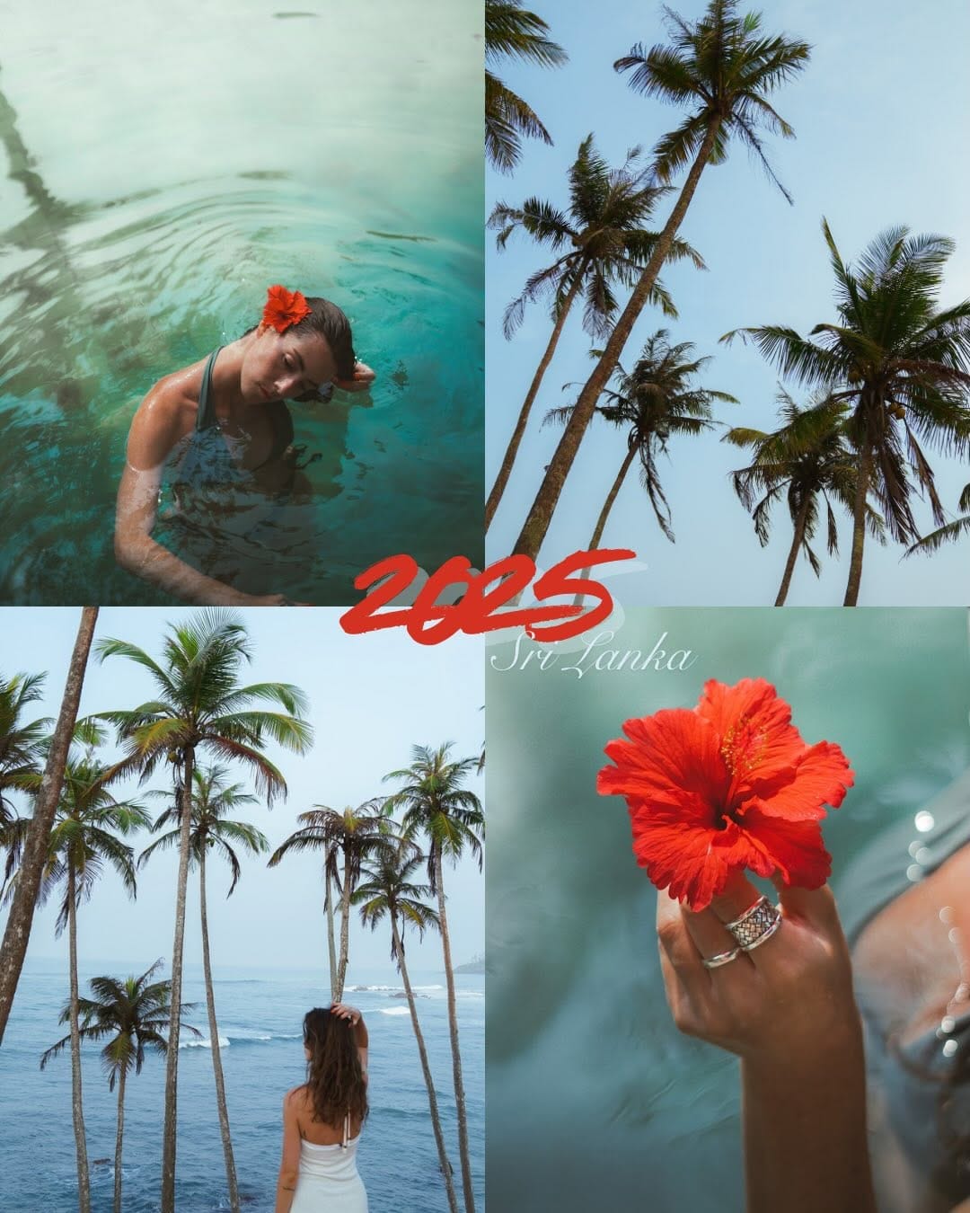 Post 10 by Van 🌱🦦 on Instagram (carousel)