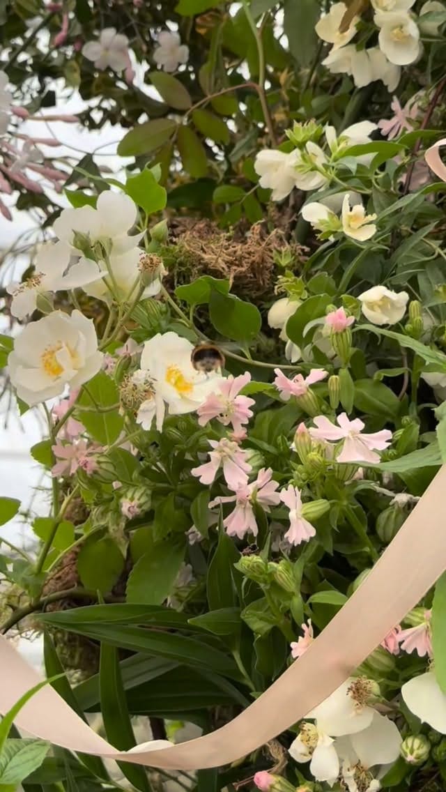 Post 4 by Millie Richardson Flowers on Instagram (video)
