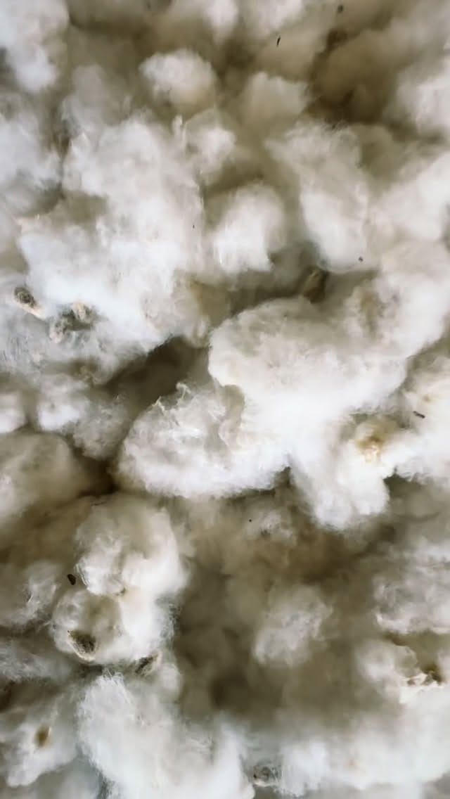 Post 3 by Ohmmbybai on Instagram (video)