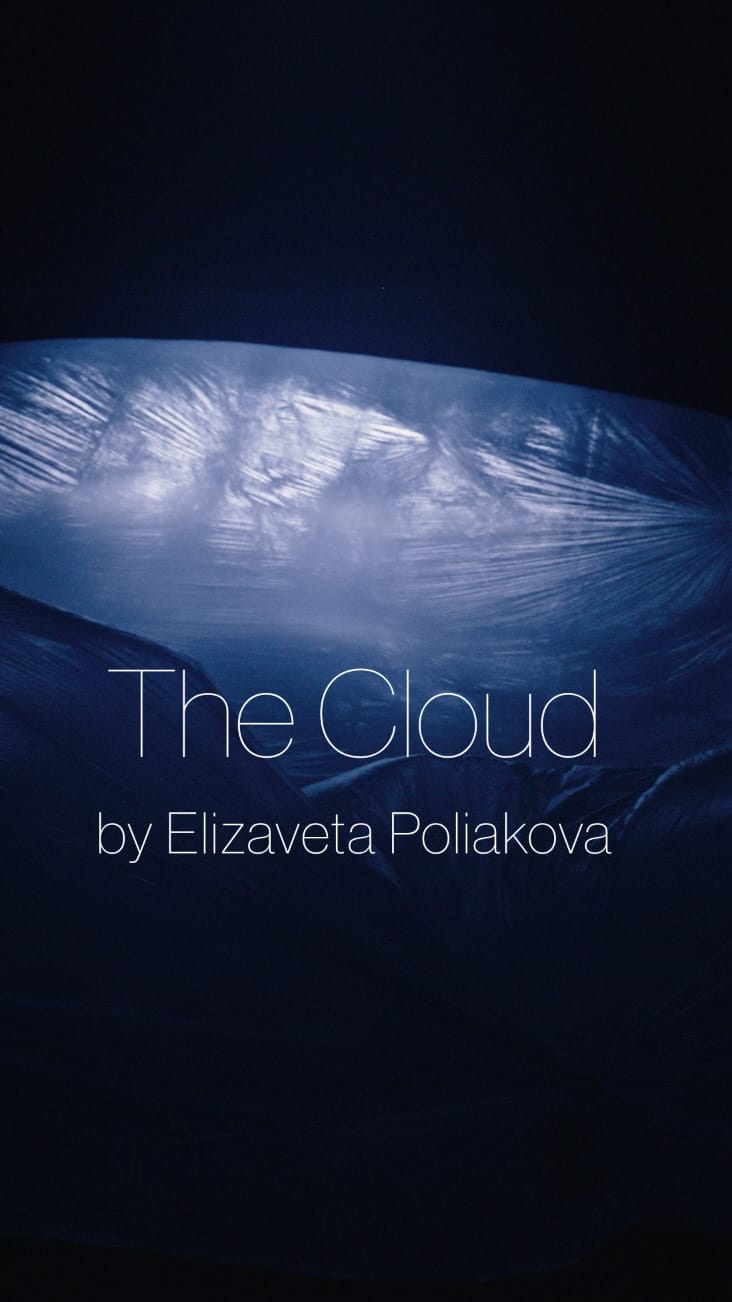 Post 7 by Elizaveta Poliakova on Instagram (video)