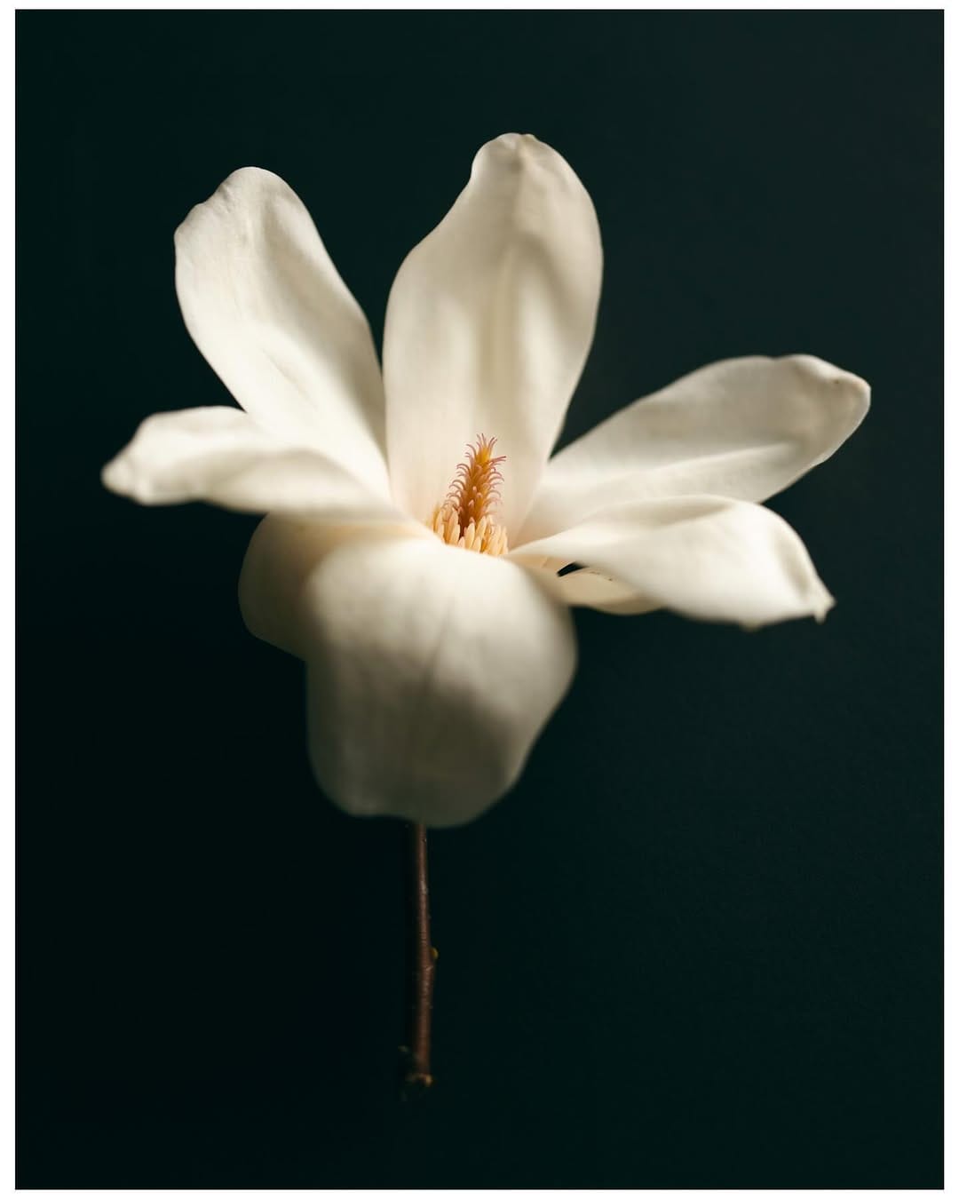 Post 1 by Sophie Jane Kirk on Instagram (image)