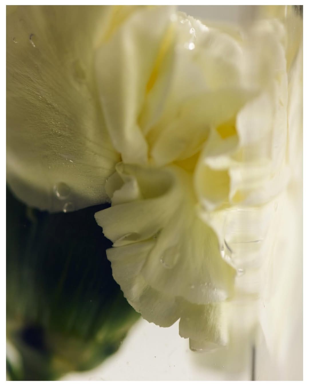 Post 2 by Sophie Jane Kirk on Instagram (image)