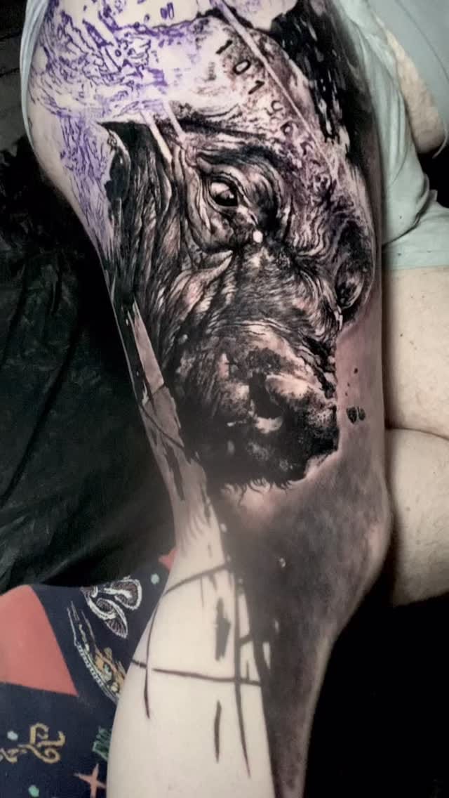 Post 1 by Connor on Instagram (video)