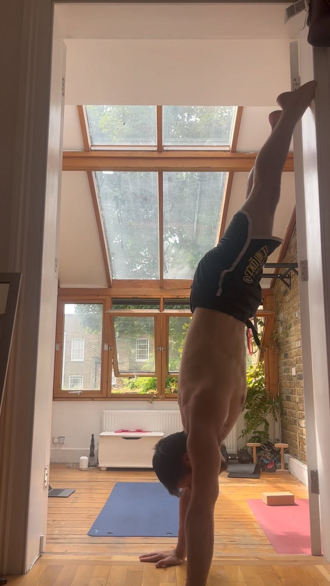 Post 9 by Sammy Dinneen on Instagram (video)