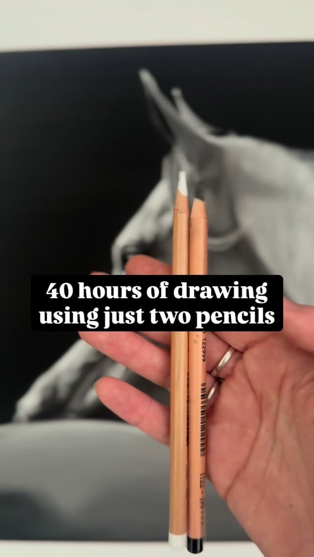 Post 2 by Amy Mckimm Pet Portrait Artist on Instagram (video)
