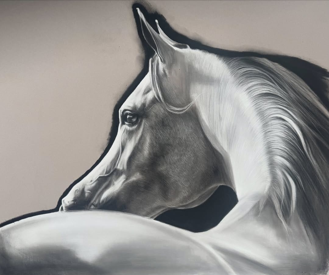 Post 4 by Amy Mckimm Pet Portrait Artist on Instagram (image)