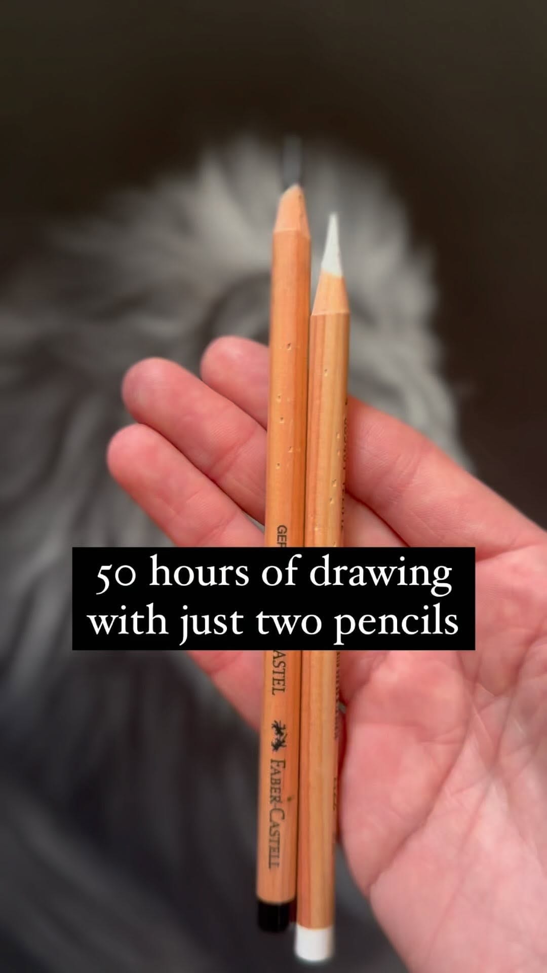 Post 10 by Amy Mckimm Pet Portrait Artist on Instagram (video)