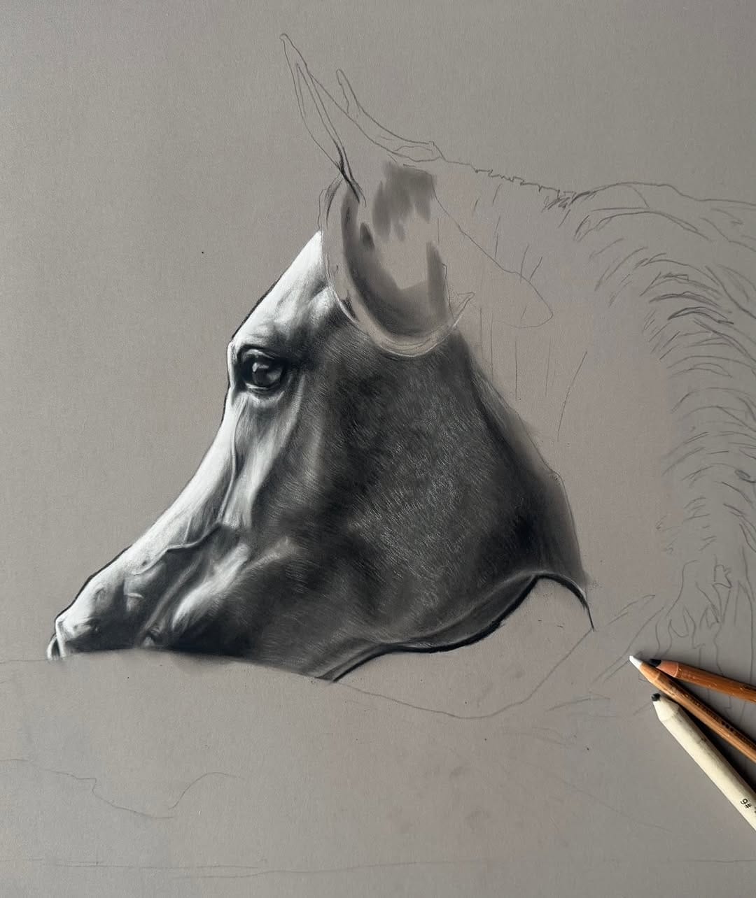 Post 5 by Amy Mckimm Pet Portrait Artist on Instagram (image)