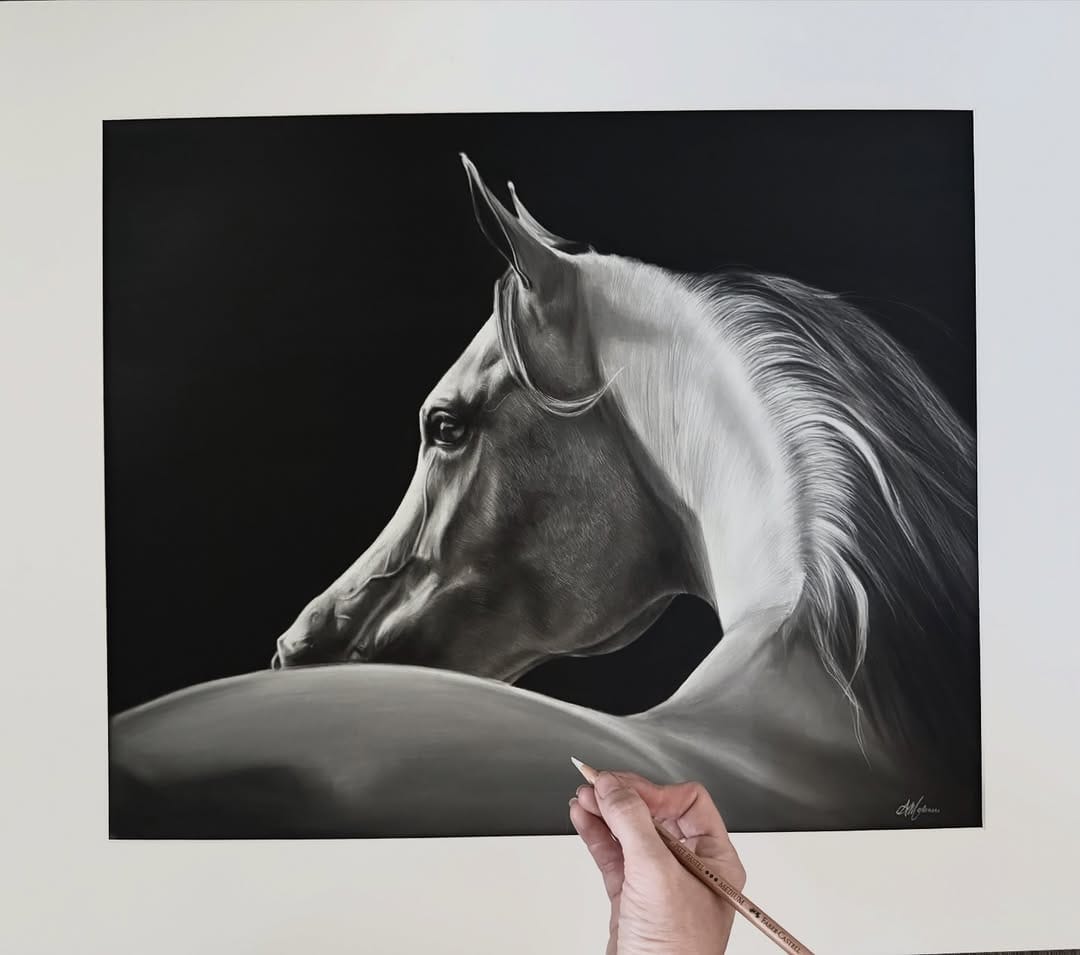 Post 3 by Amy Mckimm Pet Portrait Artist on Instagram (image)