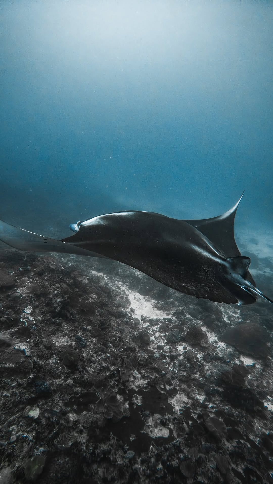 Post 10 by Rico Glück on Instagram (video)