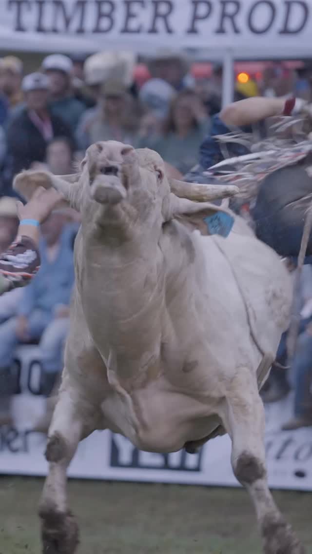 Post 10 by Chase Ethan Outlaw on Instagram (video)