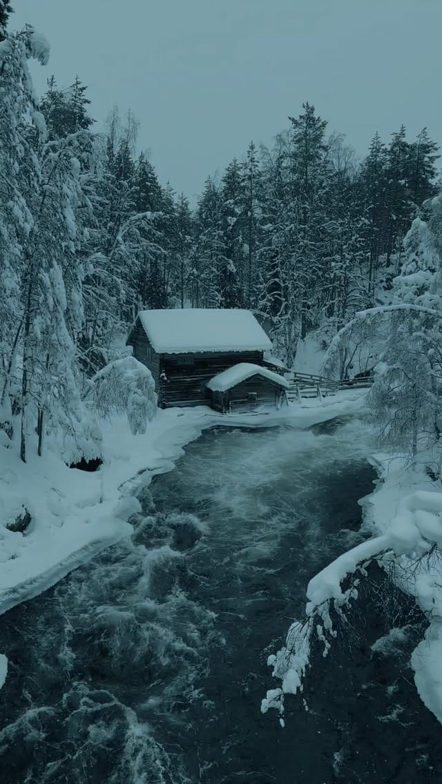 Post 10 by YURIY SHEVCHENKO on Instagram (video)