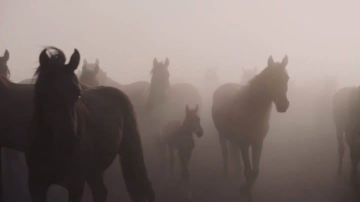 Post 8 by Onur Ozcelik on Instagram (video)