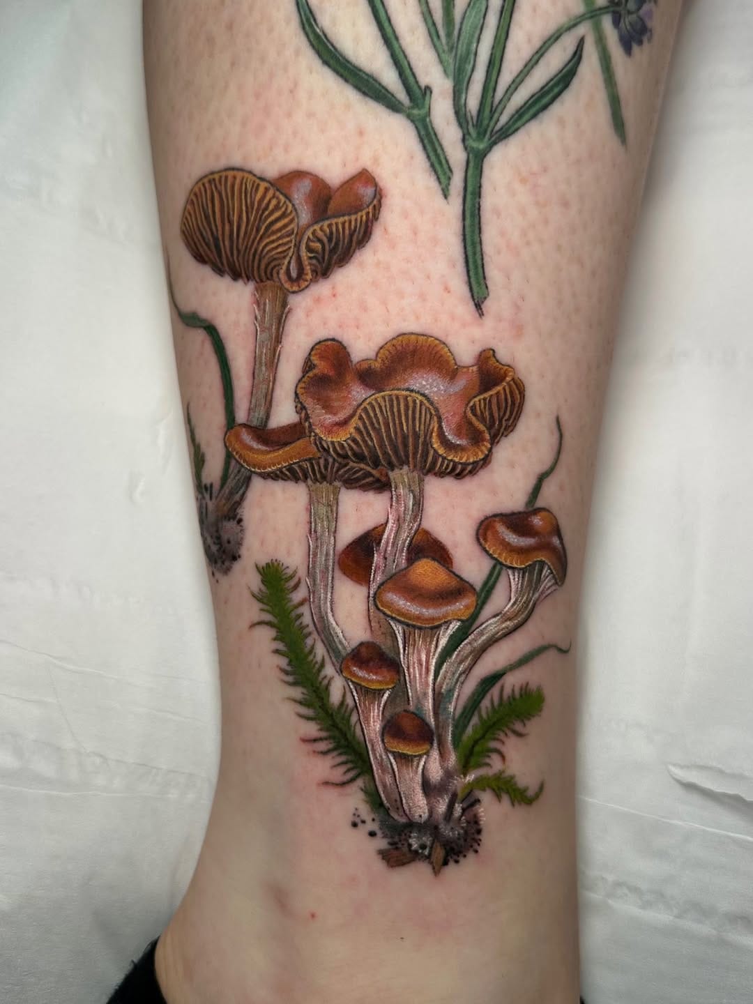 Post 2 by Kitty Foster on Instagram (carousel)