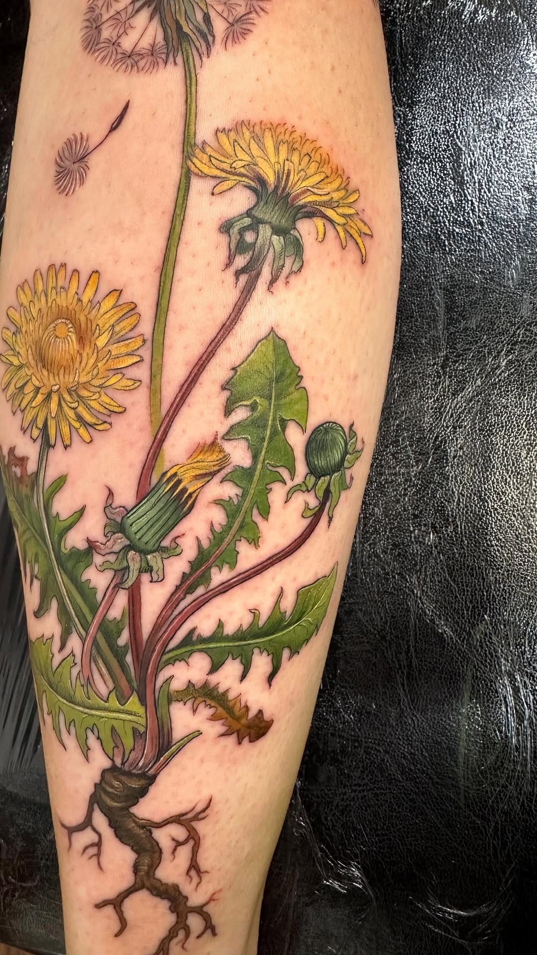 Post 9 by Kitty Foster on Instagram (video)