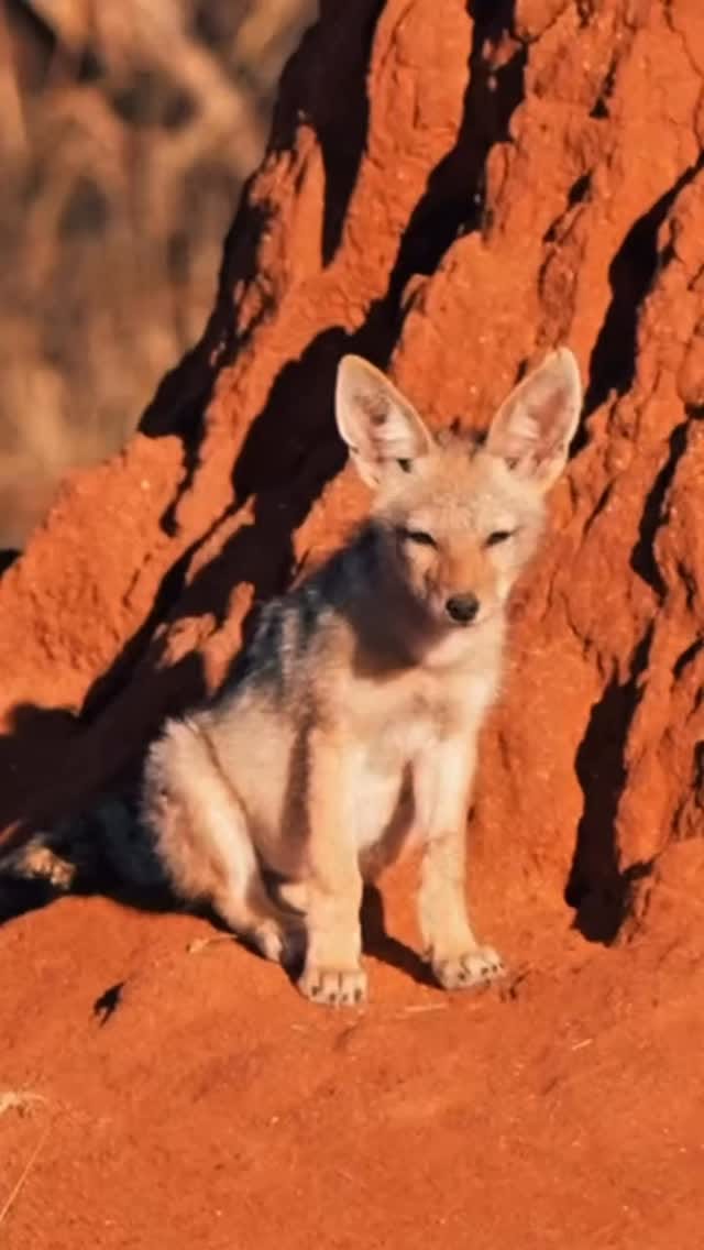 Post 7 by Alexander Heinrichs on Instagram (video)