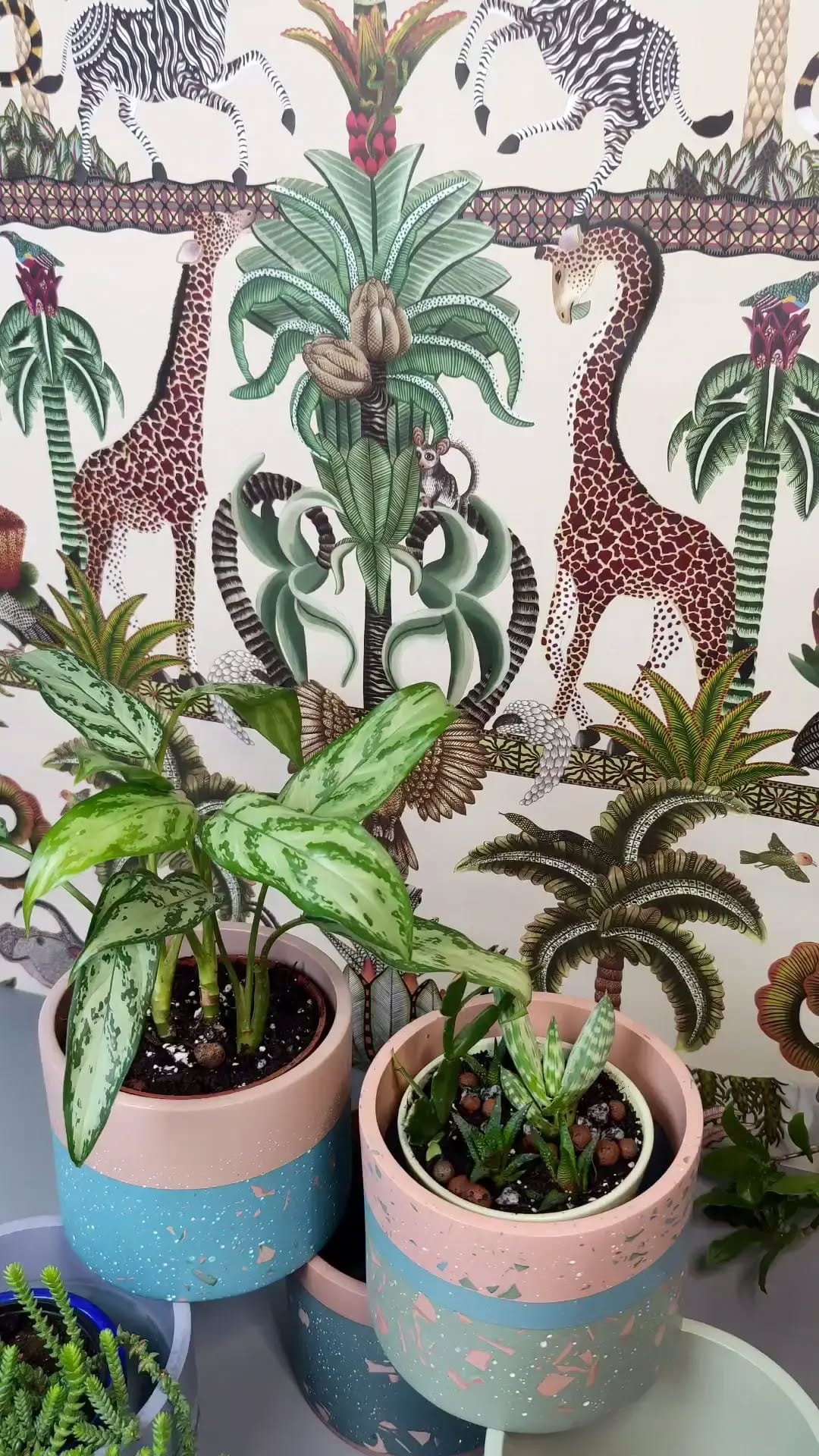Post 4 by Monika Wajs Art on Instagram (video)