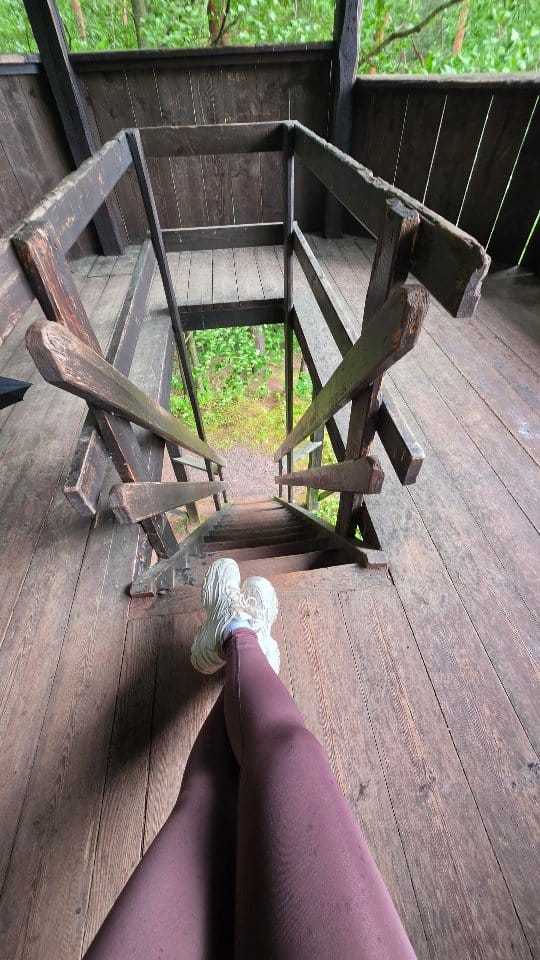 Post 1 by -T@m@r@ - on Instagram (video)