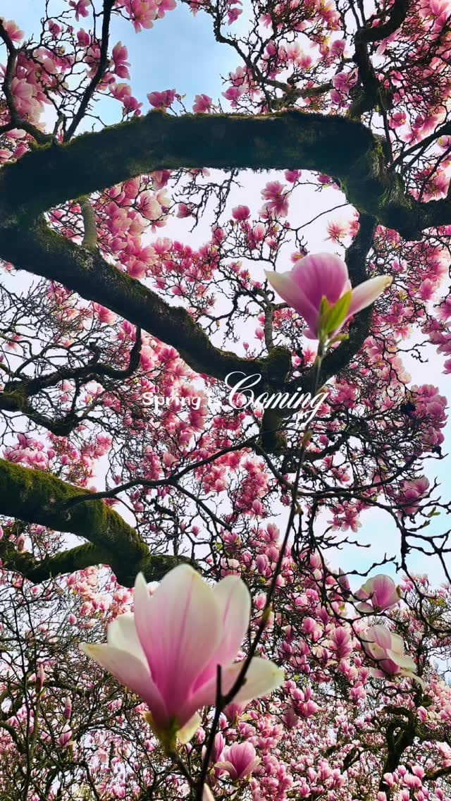 Post 3 by -T@m@r@ - on Instagram (video)