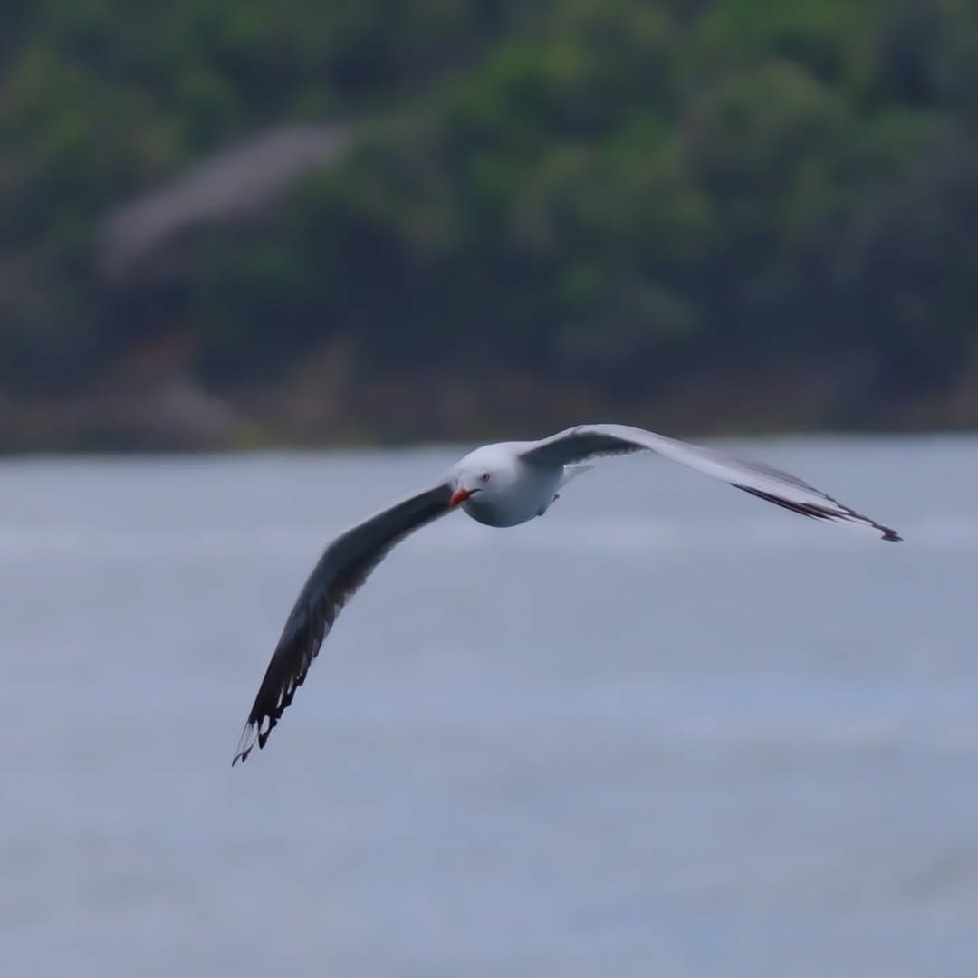 Post 4 by Jim Robertson on Instagram (image)