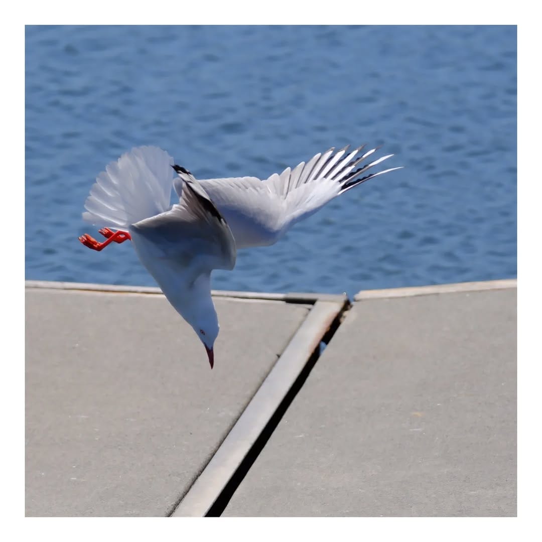 Post 5 by Jim Robertson on Instagram (image)