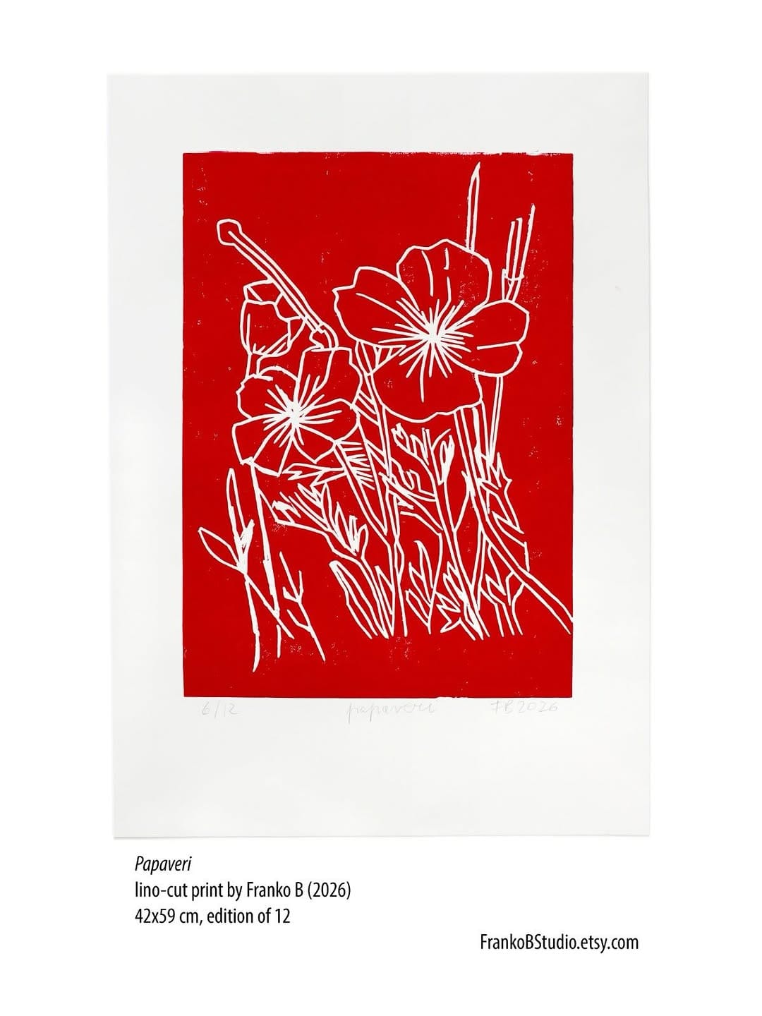 Post 7 by Franko Black on Instagram (carousel)