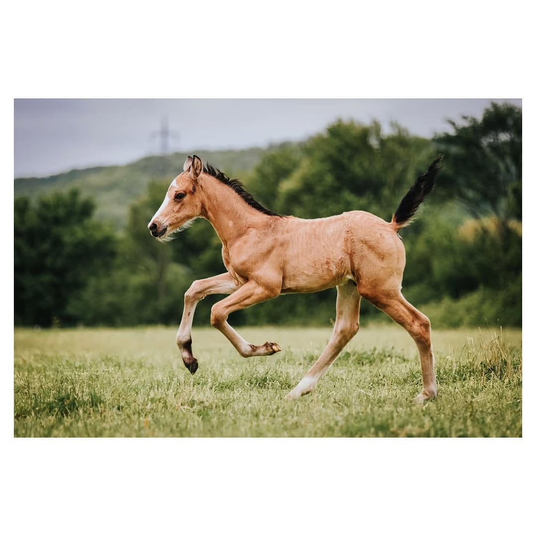 Post 7 by Carina️️ ️ on Instagram (image)