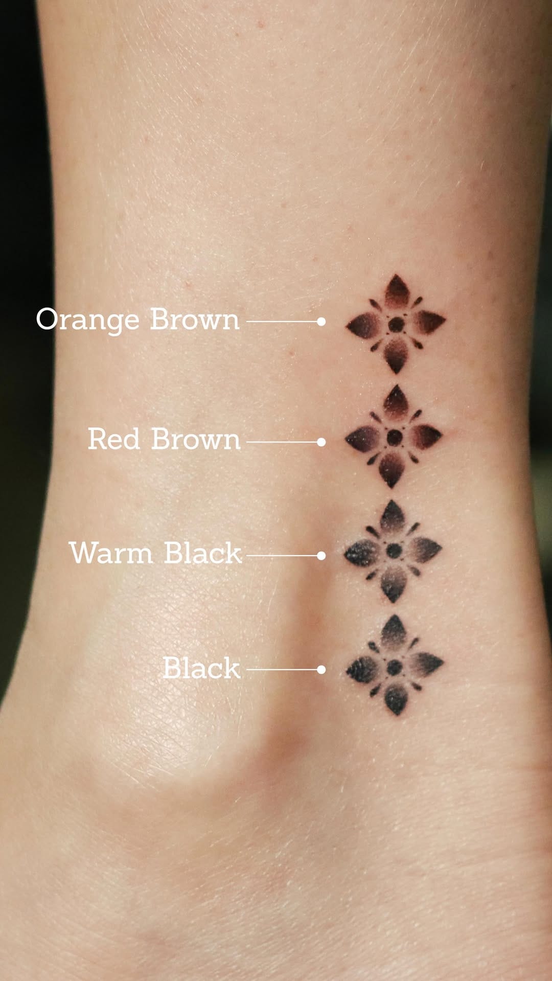 Post 10 by Jessy | Warm Black & Brown Tattoo on Instagram (video)