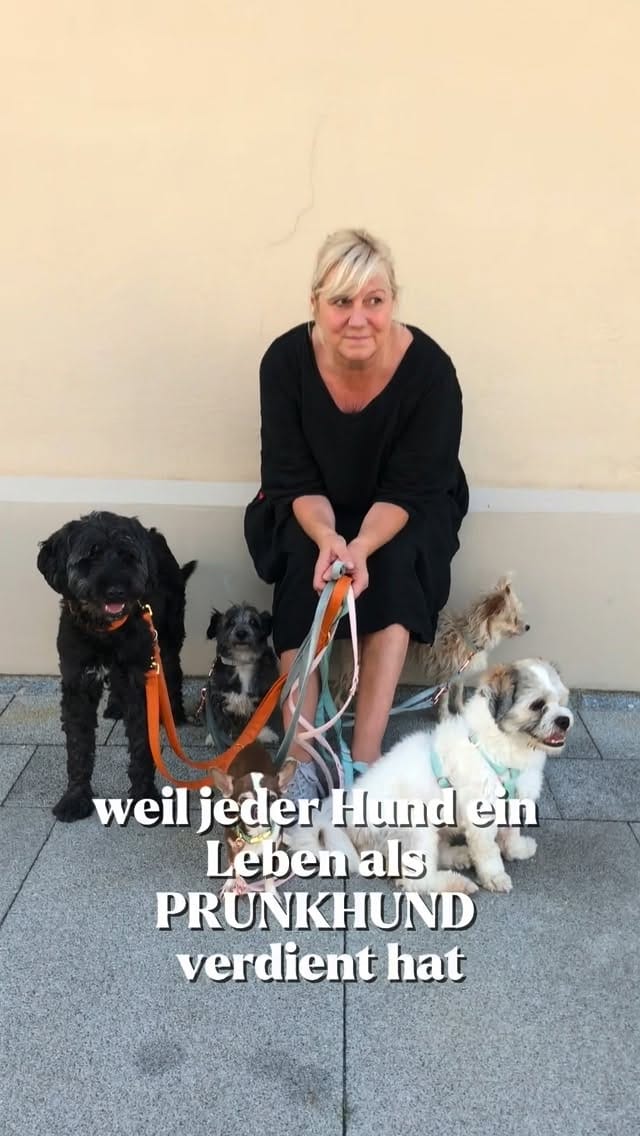 Post 8 by PRUNKHUND on Instagram (video)