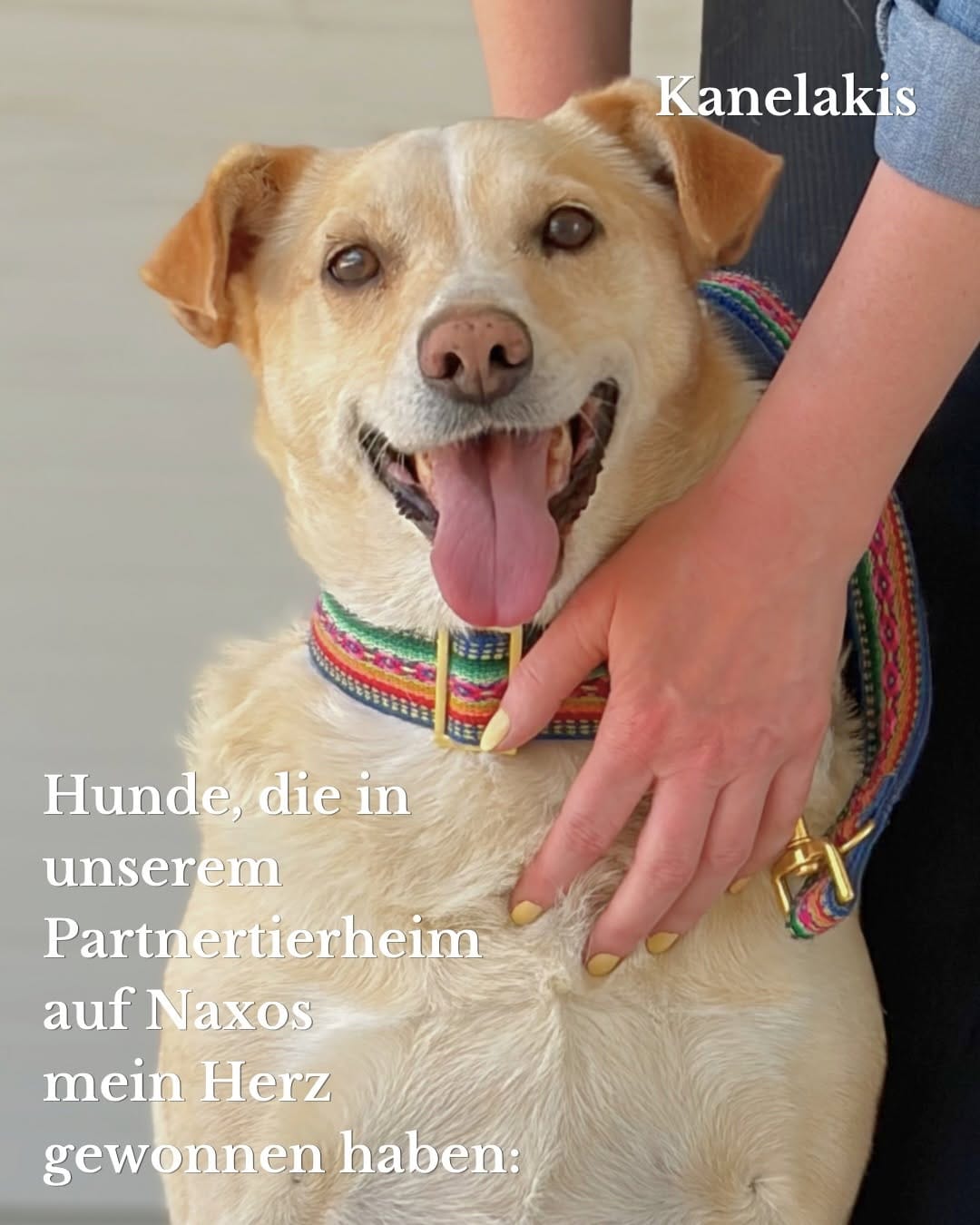 Post 4 by PRUNKHUND on Instagram (carousel)