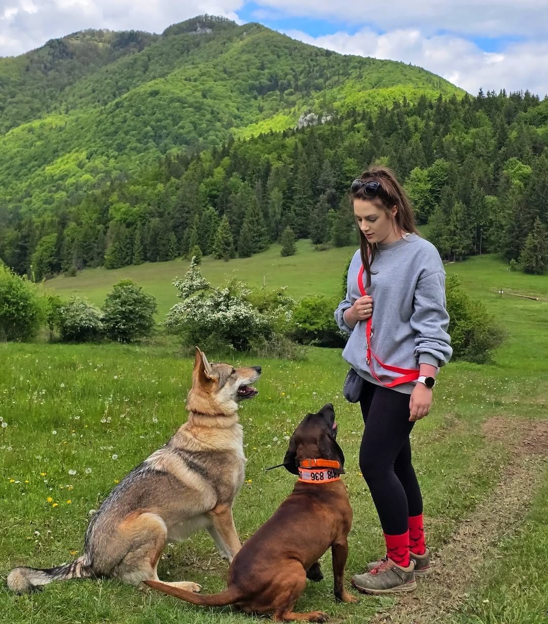 Post 7 by Zdenka Mendelová on Instagram (image)