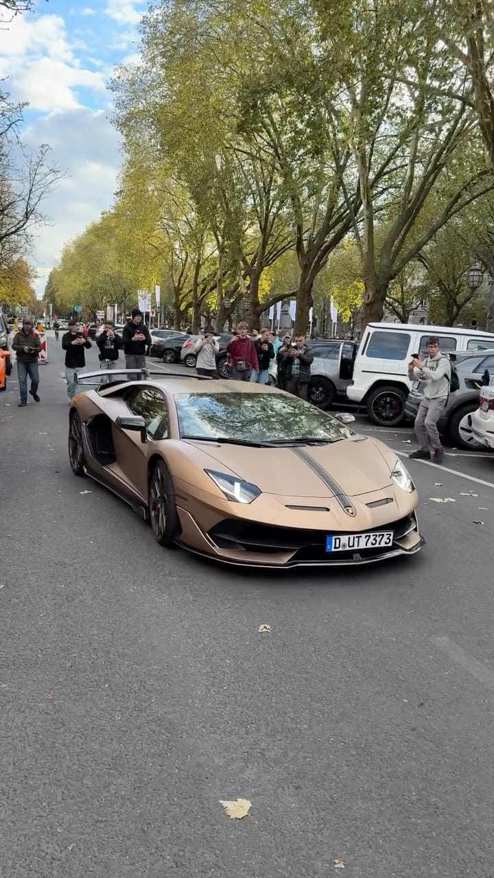 Post 8 by Enzo on Instagram (video)