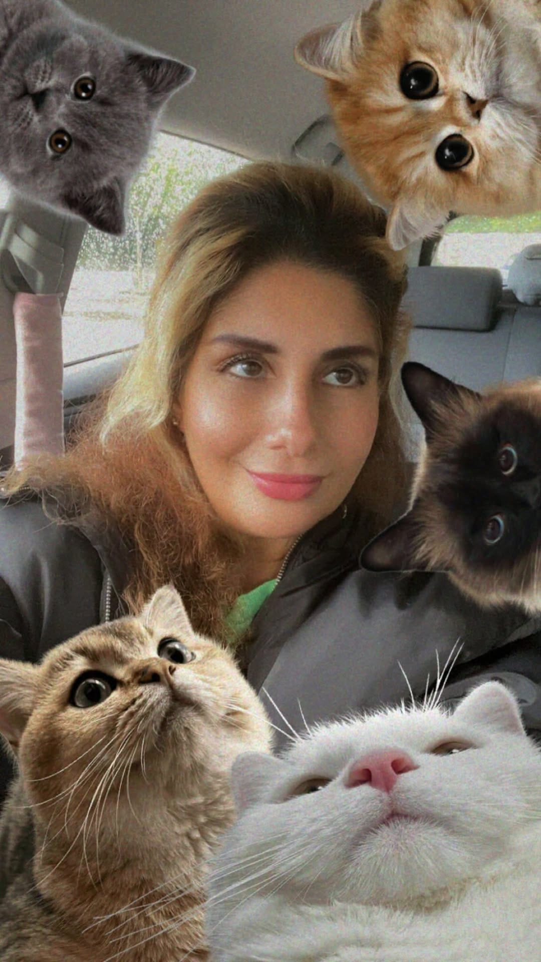 Post 6 by LILA J. on Instagram (video)